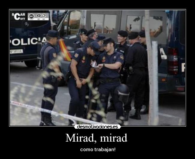Mirad, mirad  - como trabajan!
