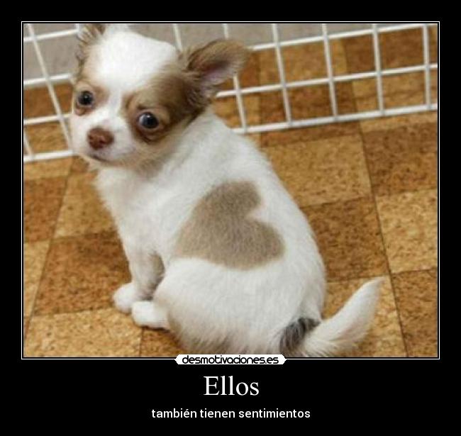 Ellos - 