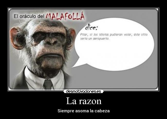 La razon -