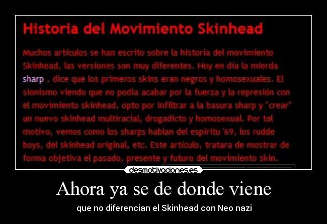Ahora ya se de donde viene - que no diferencian el Skinhead con Neo nazi