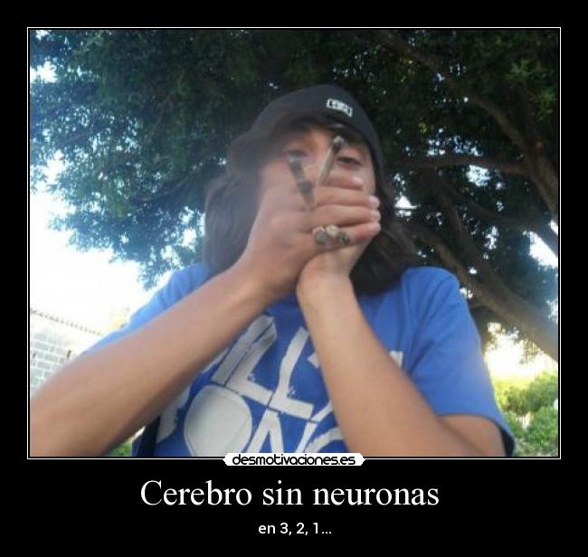 Cerebro sin neuronas -
