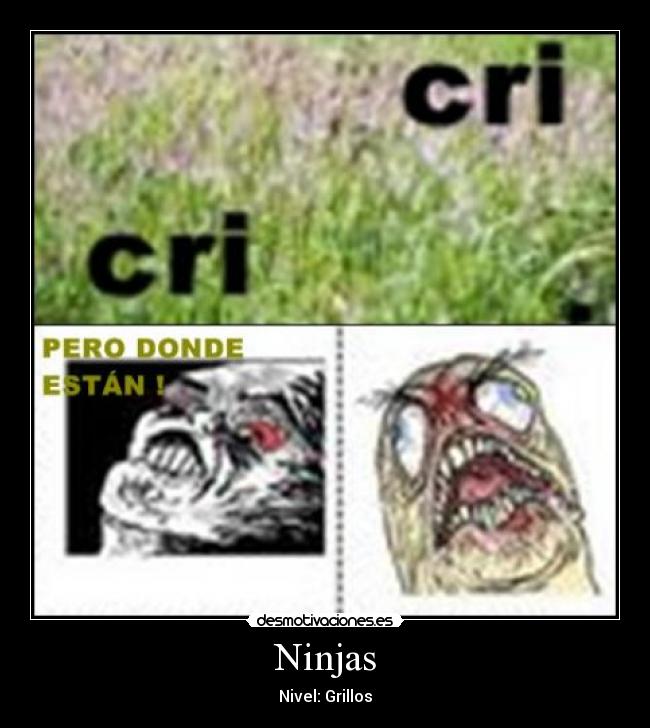 Ninjas - Nivel: Grillos