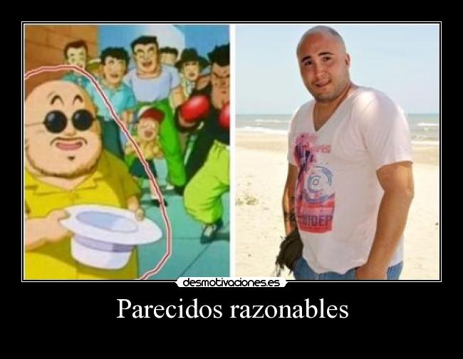 Parecidos razonables - 
