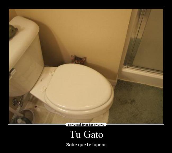 Tu Gato - Sabe que te fapeas