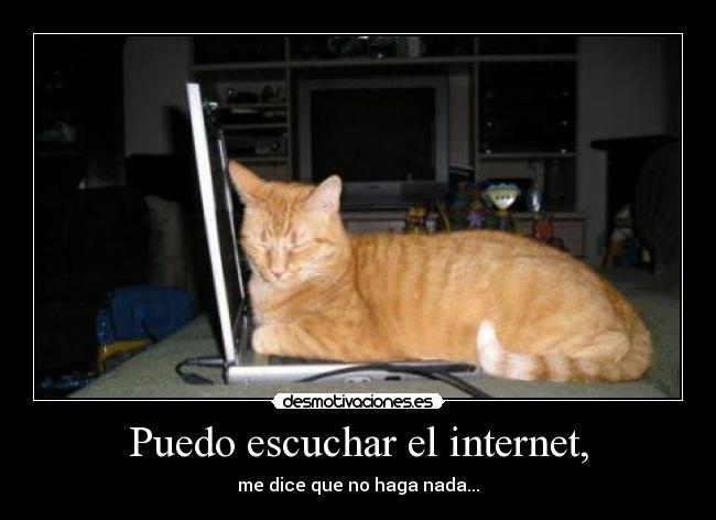 Puedo escuchar el internet, -