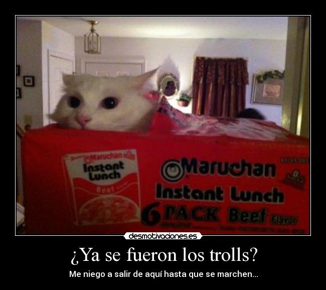 carteles asi pasa los dias el gatito desmotivaciones