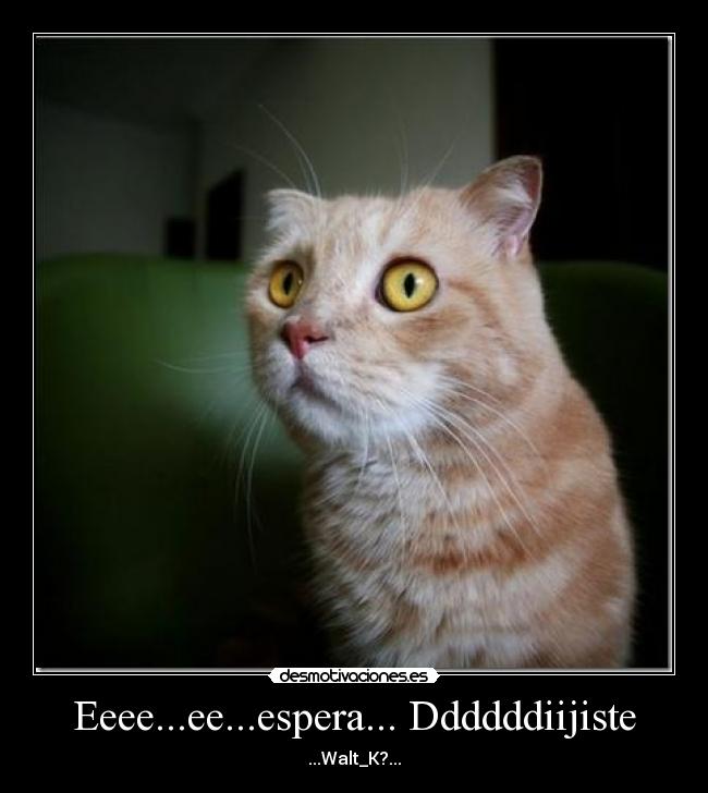 Eeee...ee...espera... Ddddddiijiste - 