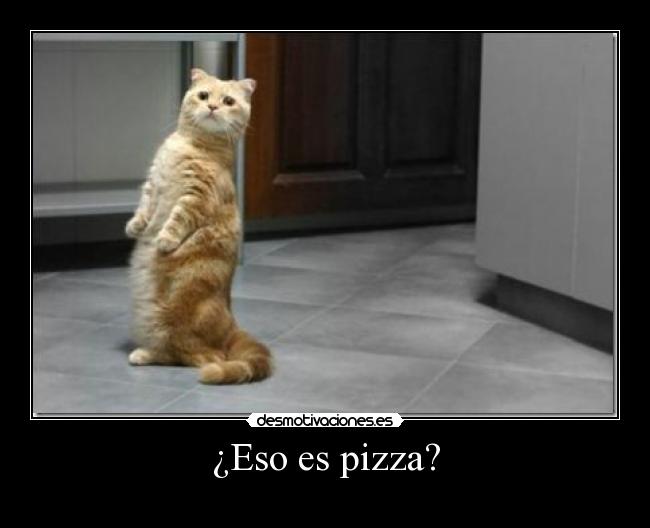 ¿Eso es pizza? - 