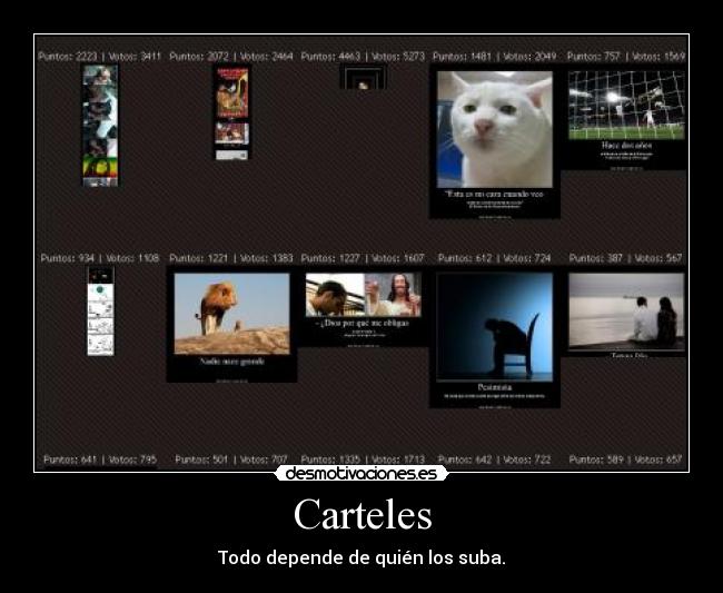 Carteles - 