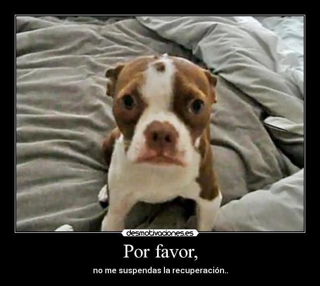 Por favor, - 