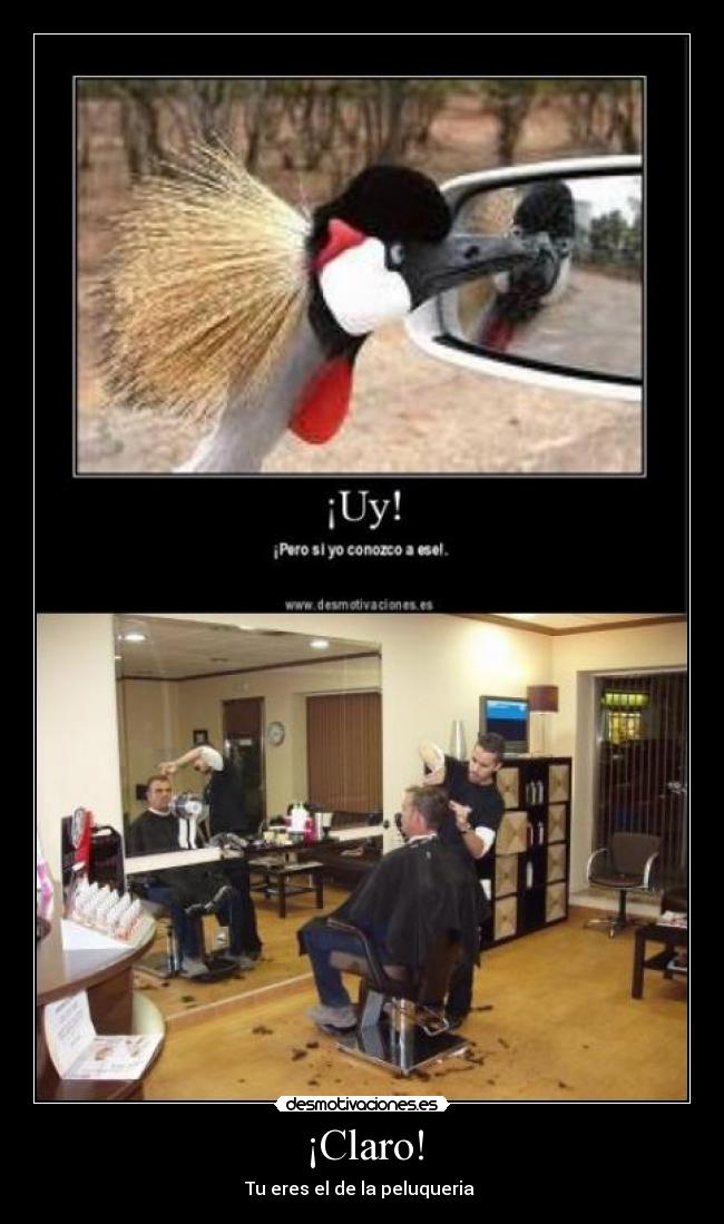 ¡Claro! - Tu eres el de la peluqueria