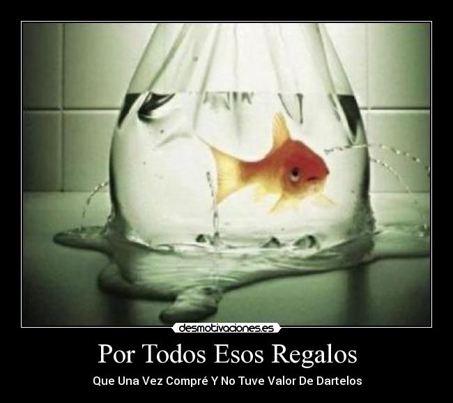 Por Todos Esos Regalos - Que Una Vez Compré Y No Tuve Valor De Dartelos