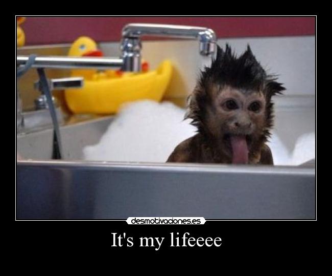 Its my lifeeee - 