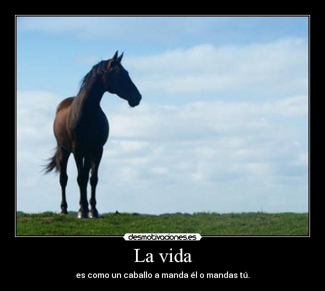 La vida - es como un caballo a manda él o mandas tú.