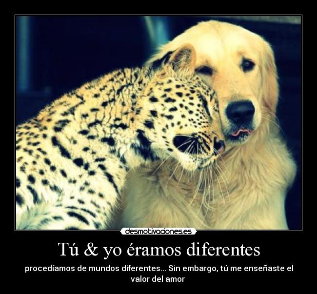 Tú & yo éramos diferentes - procedíamos de mundos diferentes... Sin embargo, tú me enseñaste el
valor del amor ♥