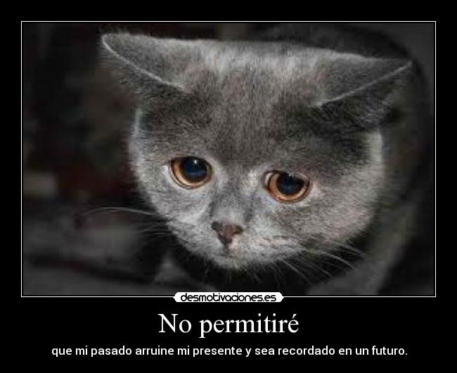 No permitiré -