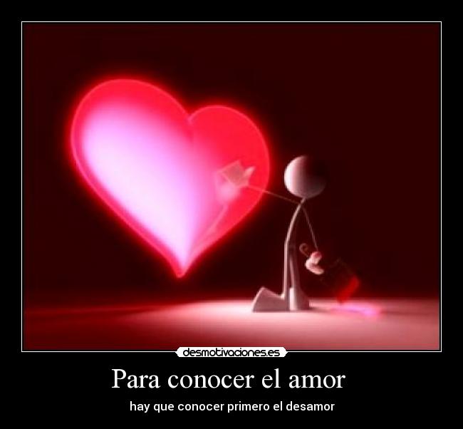 carteles amor conocer amor desamor desmotivaciones