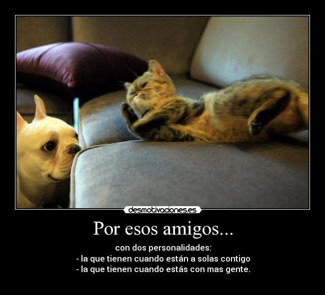 Por esos amigos... - con dos personalidades:
- la que tienen cuando están a solas contigo
- la que tienen cuando estás con mas gente.