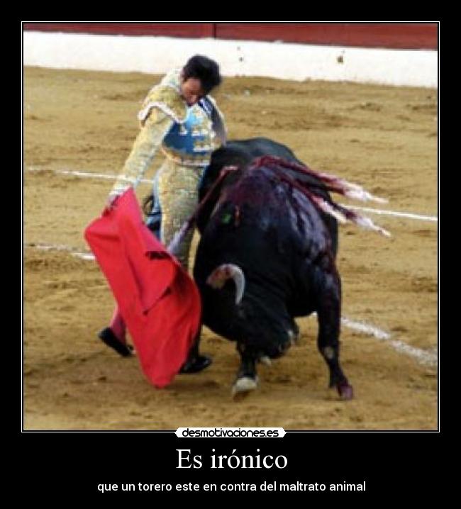 Es irónico - que un torero este en contra del maltrato animal