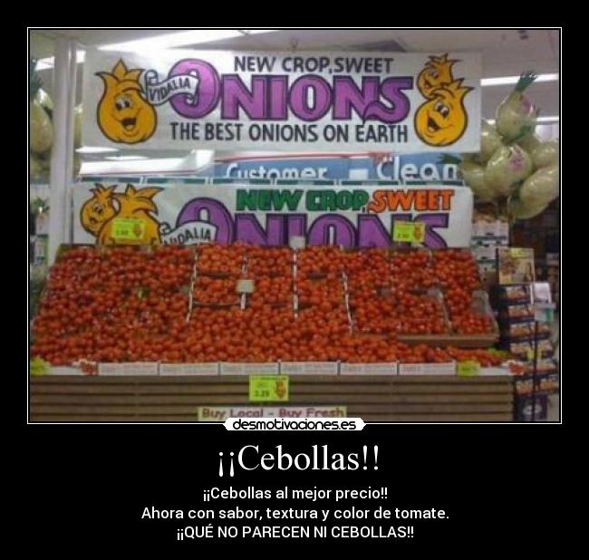 carteles cebollas desmotivaciones
