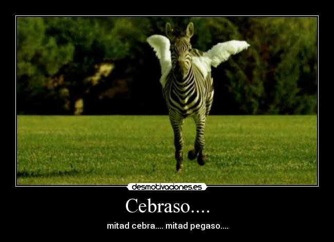 Cebraso.... - mitad cebra.... mitad pegaso....