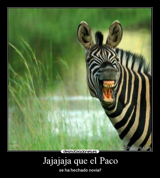 Jajajaja que el Paco - se ha hechado novia?