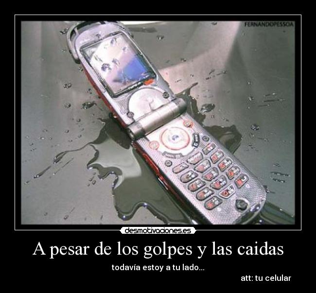 A pesar de los golpes y las caidas - todavía estoy a tu lado...
att: tu celular