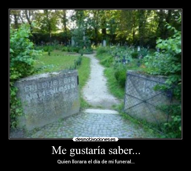 Me gustaría saber... -