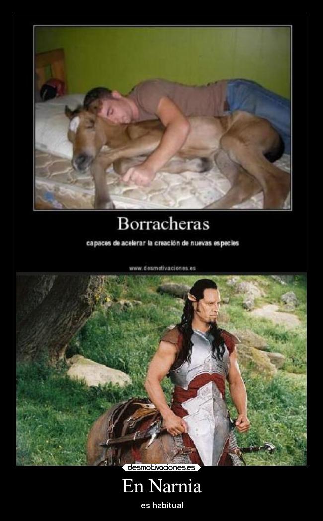 En Narnia - es habitual