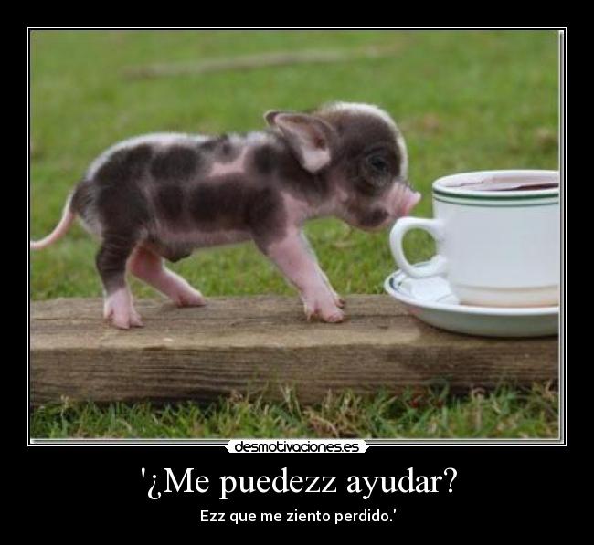 ¿Me puedezz ayudar? - Ezz que me ziento perdido.