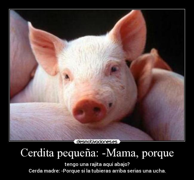 carteles cerdos desmotivaciones