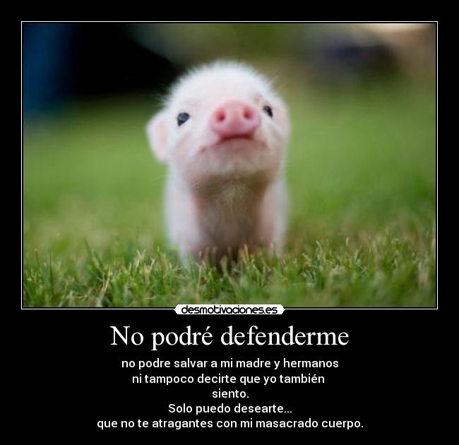 No podré defenderme - no podre salvar a mi madre y hermanos
ni tampoco decirte que yo también
siento.
Solo puedo desearte...
que no te atragantes con mi masacrado cuerpo.