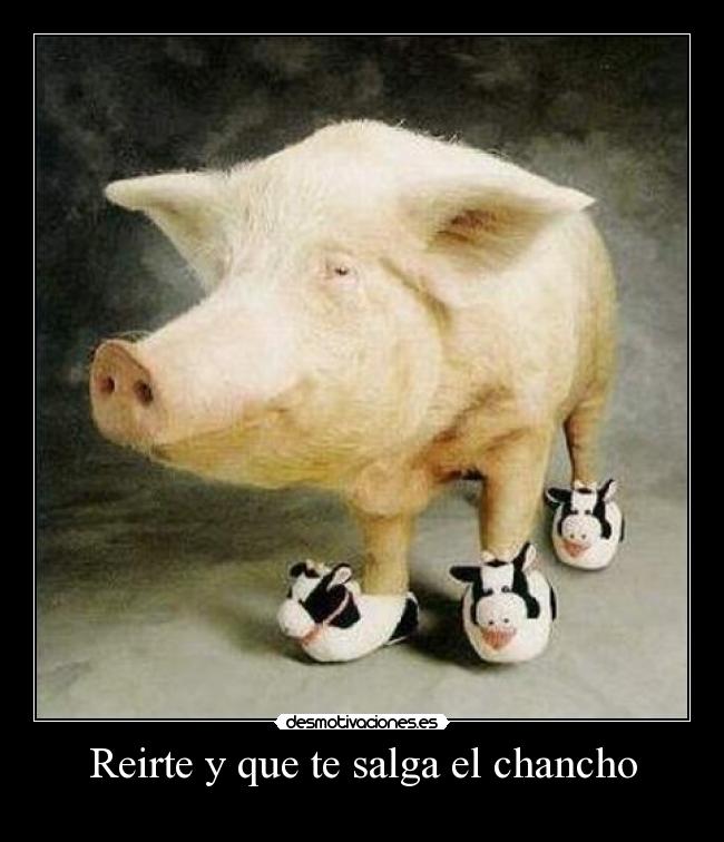 Reirte y que te salga el chancho - 