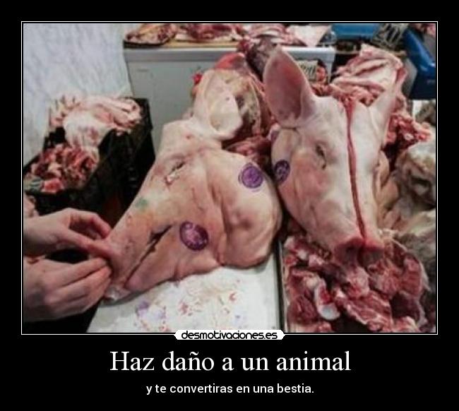 Haz daño a un animal - 