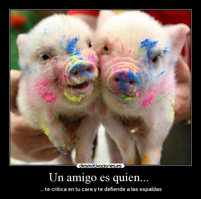 Un amigo es quien... -