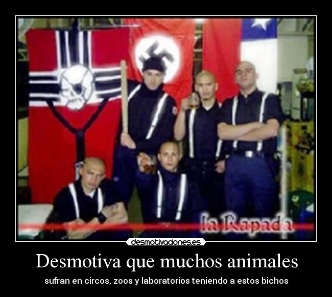 Desmotiva que muchos animales - sufran en circos, zoos y laboratorios teniendo a estos bichos