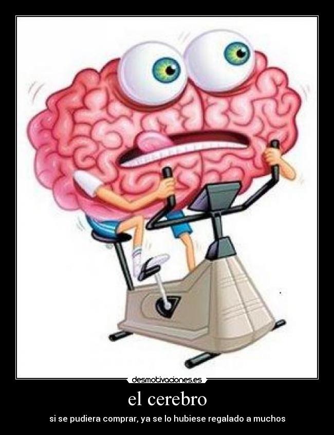 carteles amigos mios sin cerebro desmotivaciones