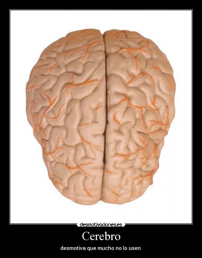 Cerebro - desmotiva que mucho no lo usen