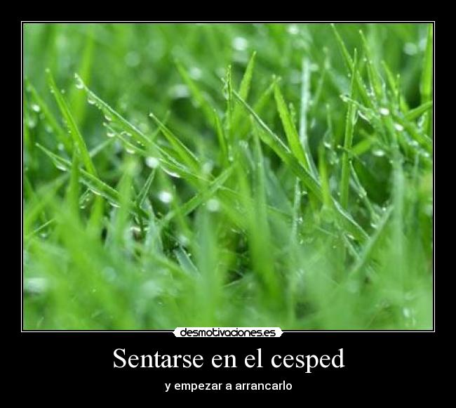 Sentarse en el cesped -