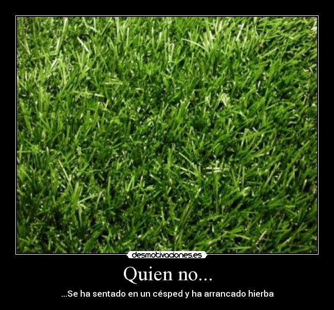 Quien no... - ...Se ha sentado en un césped y ha arrancado hierba