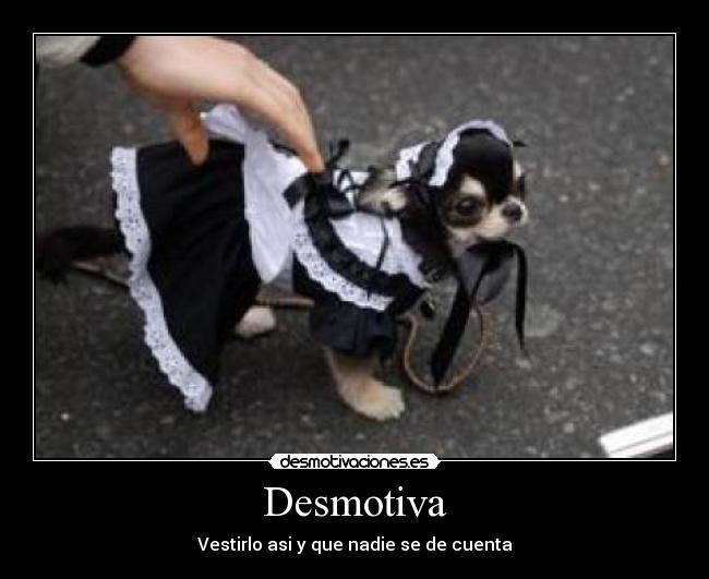 Desmotiva - Vestirlo asi y que nadie se de cuenta