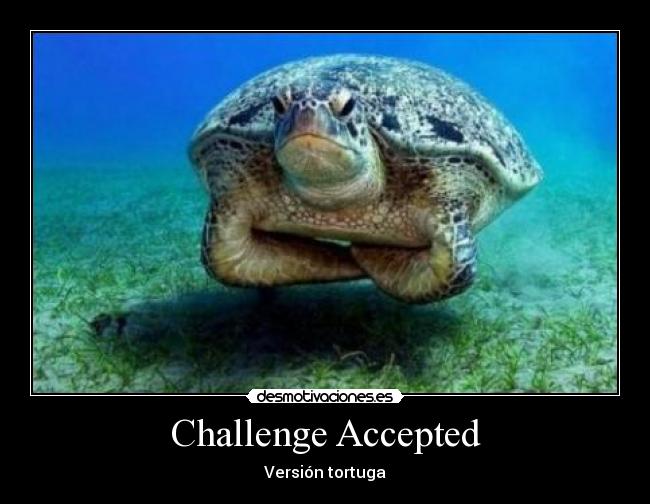 carteles challenge accepted version tortuga desmotivaciones