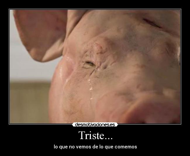 Triste... - lo que no vemos de lo que comemos