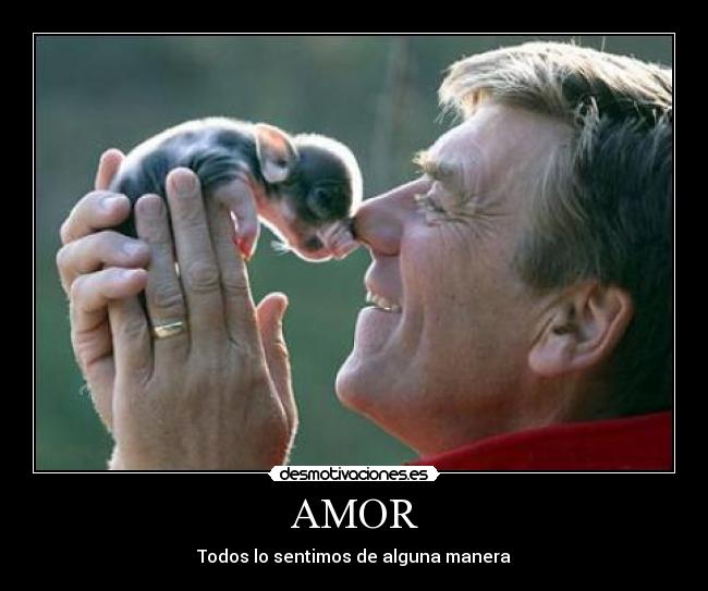 AMOR - Todos lo sentimos de alguna manera