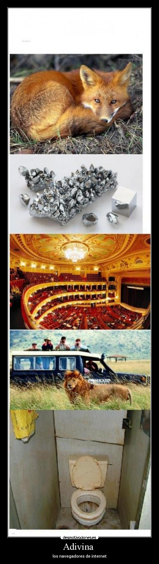 Adivina  - los navegadores de internet