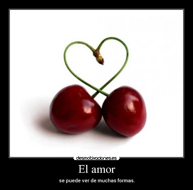 El amor - 