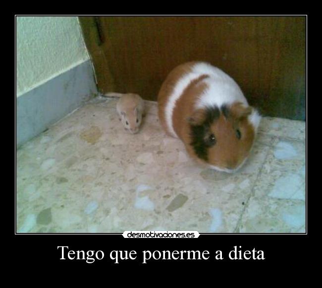 Tengo que ponerme a dieta -