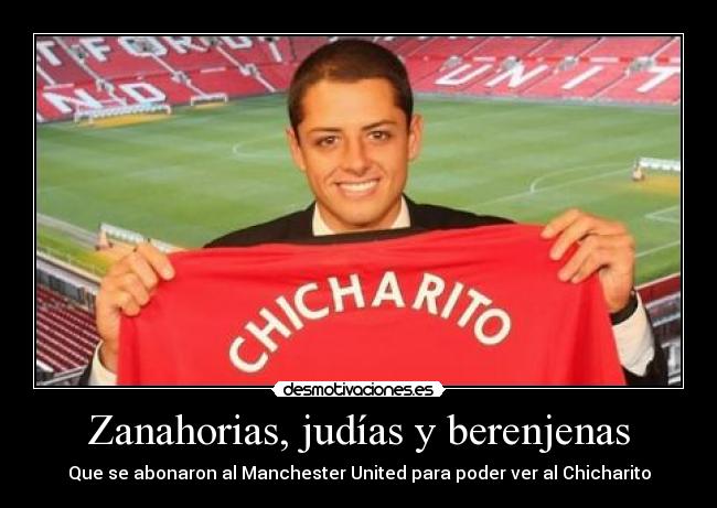 Zanahorias, judías y berenjenas - 