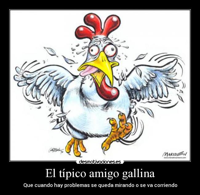 El típico amigo gallina - Que cuando hay problemas se queda mirando o se va corriendo