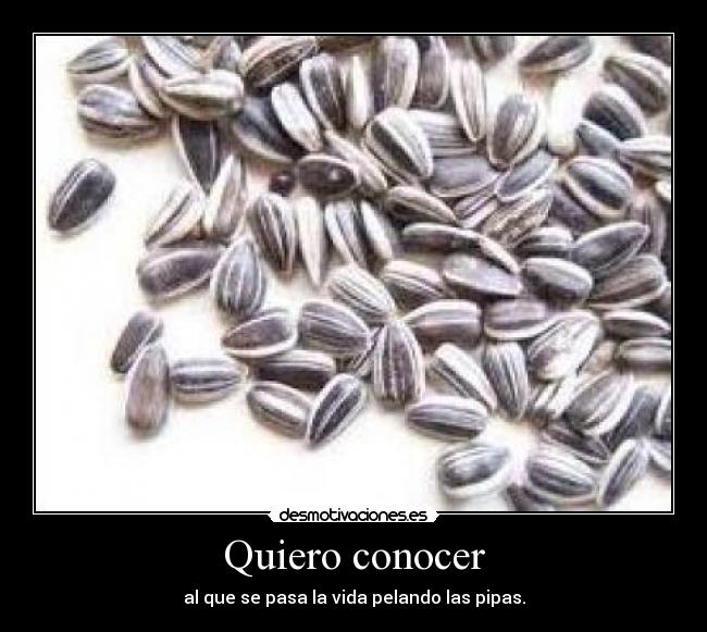 Quiero conocer -